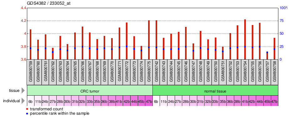 Gene Expression Profile