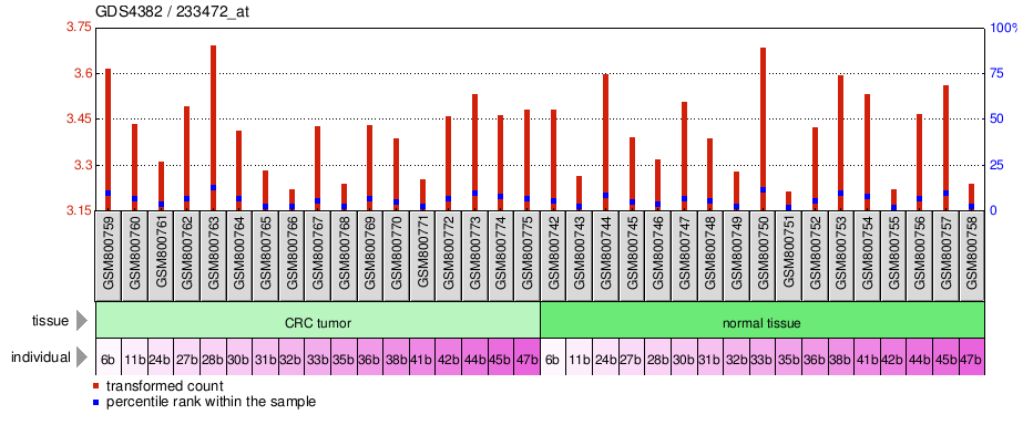 Gene Expression Profile