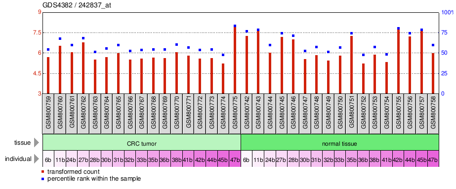 Gene Expression Profile