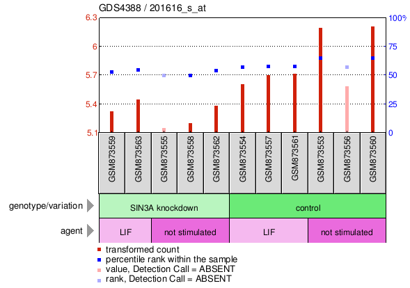 Gene Expression Profile