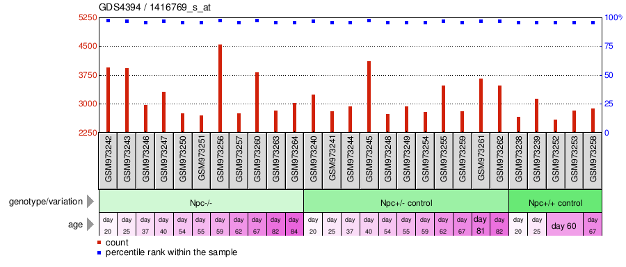 Gene Expression Profile