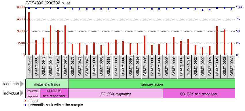 Gene Expression Profile