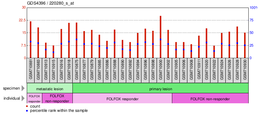 Gene Expression Profile