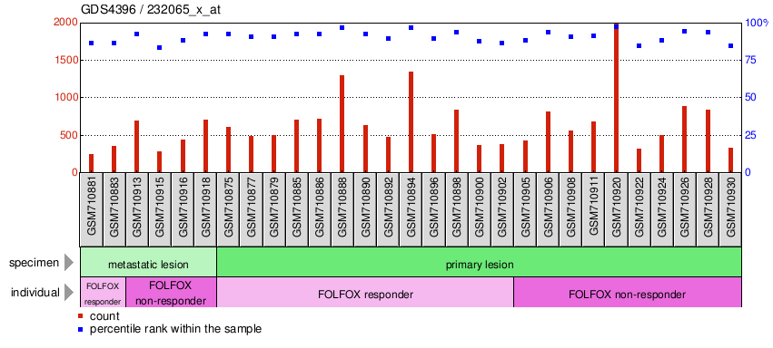 Gene Expression Profile