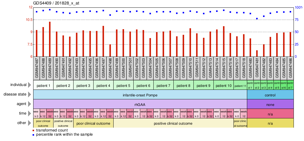 Gene Expression Profile