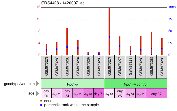 Gene Expression Profile