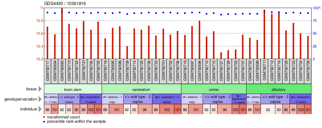 Gene Expression Profile