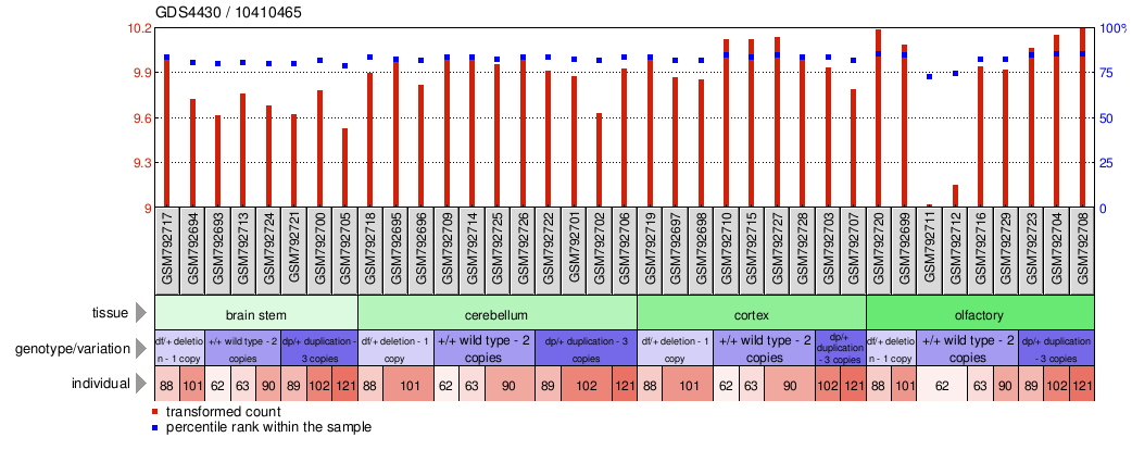 Gene Expression Profile