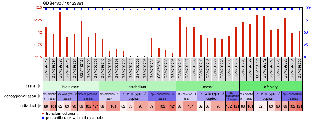 Gene Expression Profile