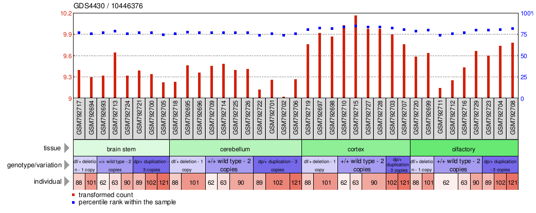 Gene Expression Profile