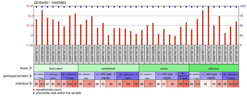 Gene Expression Profile