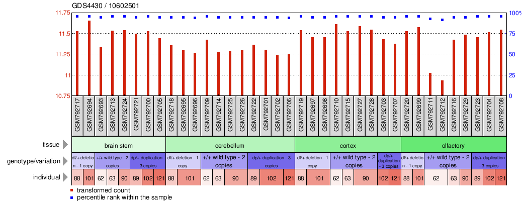 Gene Expression Profile