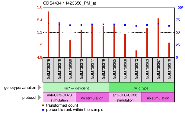 Gene Expression Profile