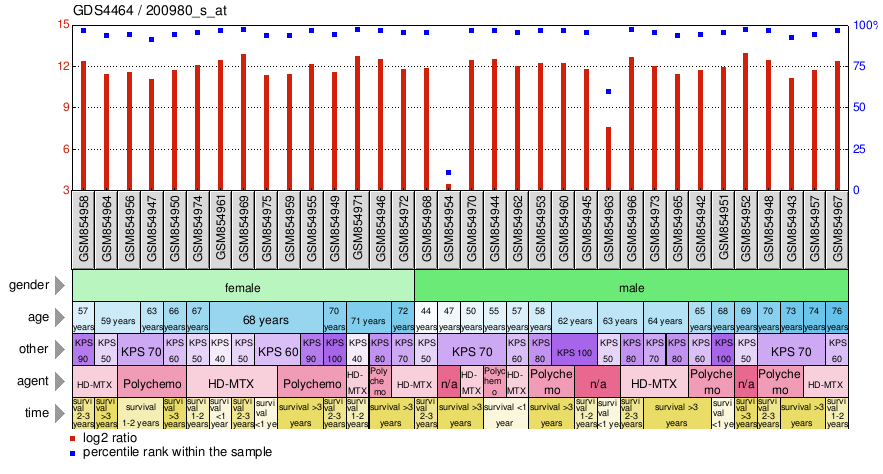 Gene Expression Profile