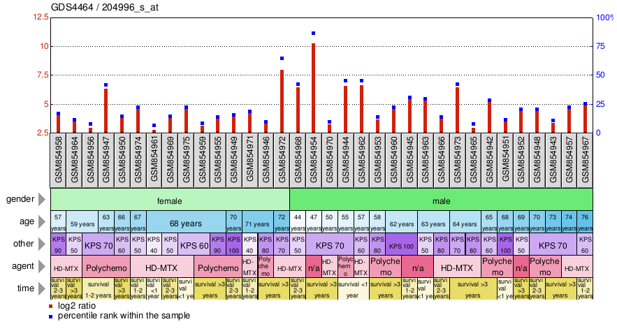 Gene Expression Profile