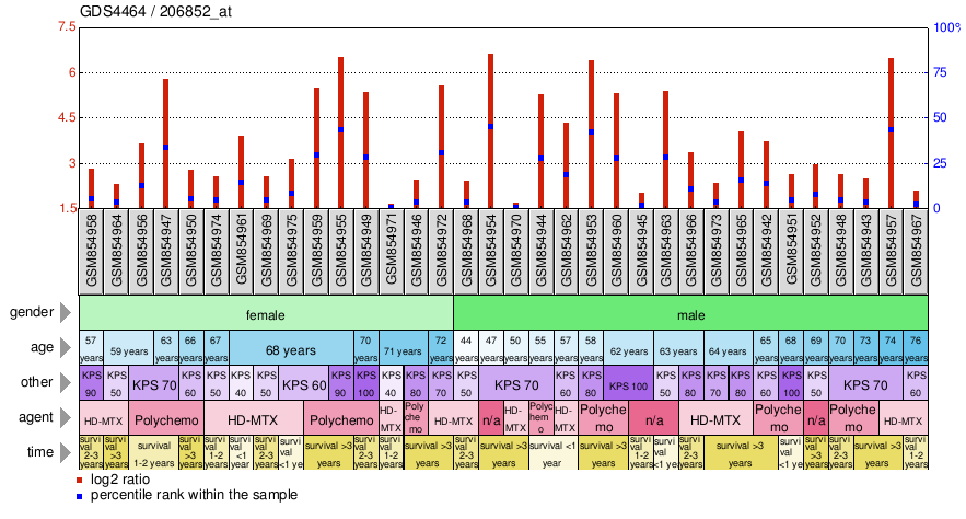 Gene Expression Profile