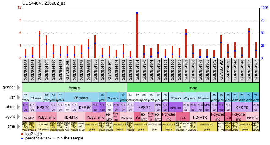 Gene Expression Profile