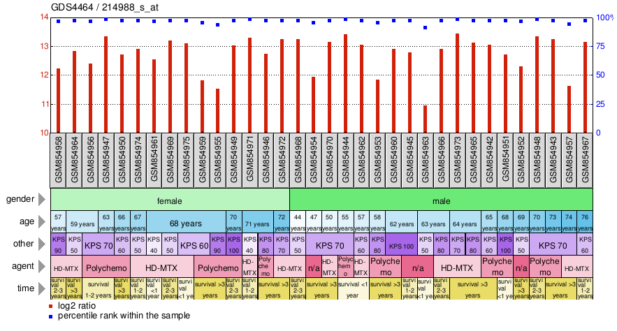 Gene Expression Profile