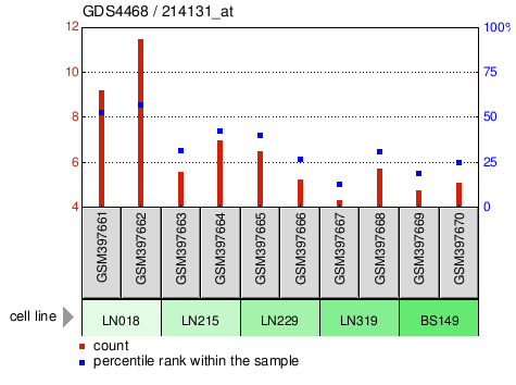 Gene Expression Profile