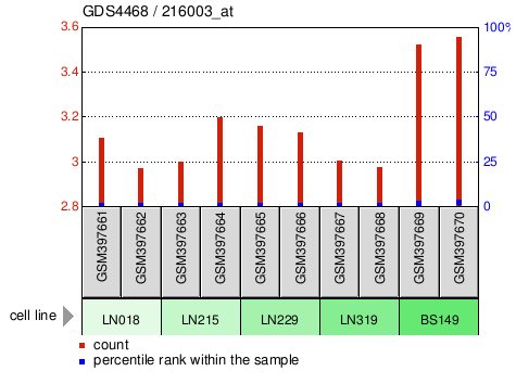 Gene Expression Profile