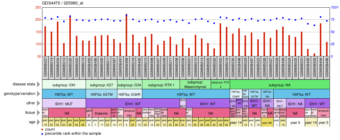 Gene Expression Profile