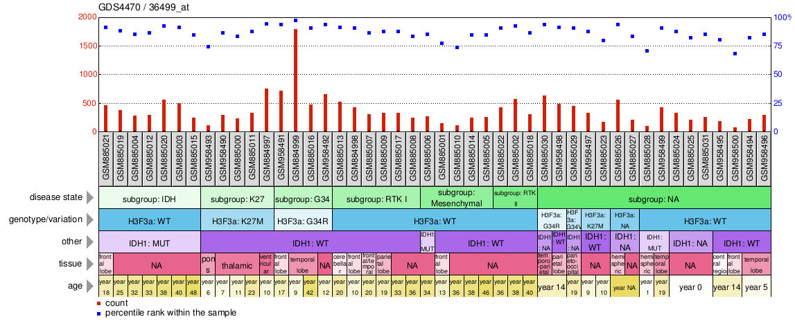 Gene Expression Profile