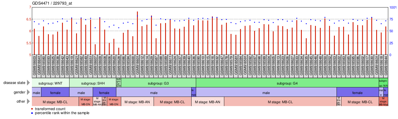 Gene Expression Profile