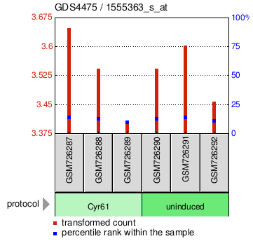 Gene Expression Profile