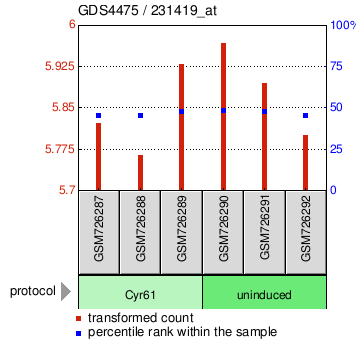 Gene Expression Profile