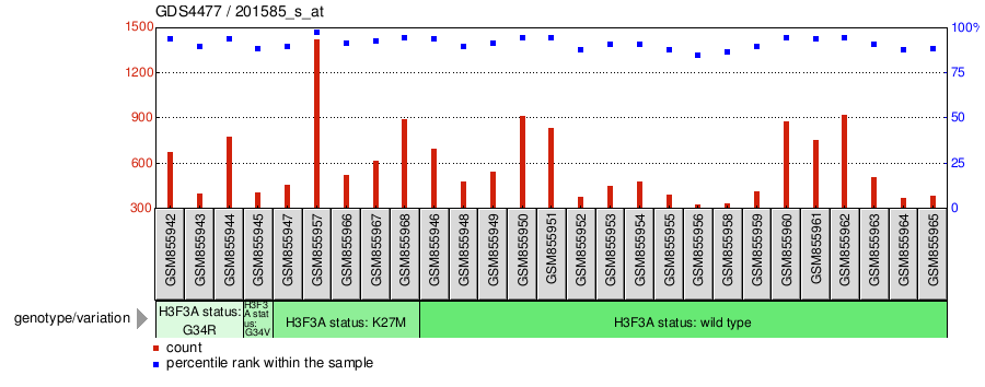 Gene Expression Profile