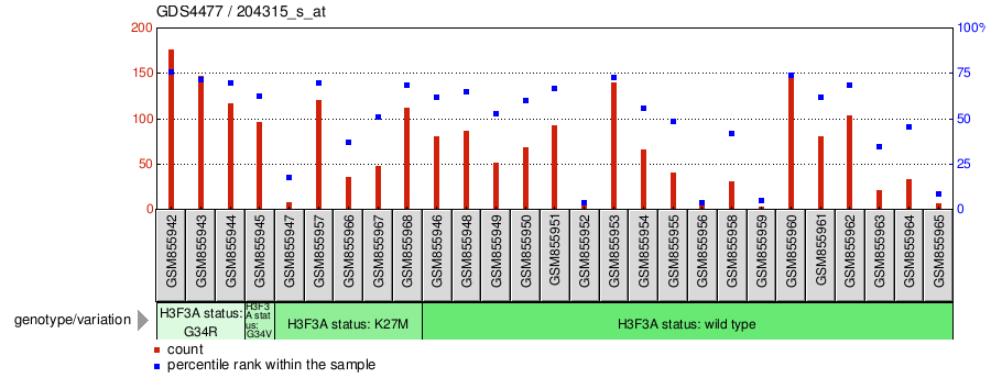 Gene Expression Profile