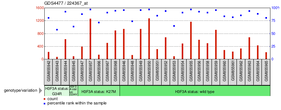 Gene Expression Profile