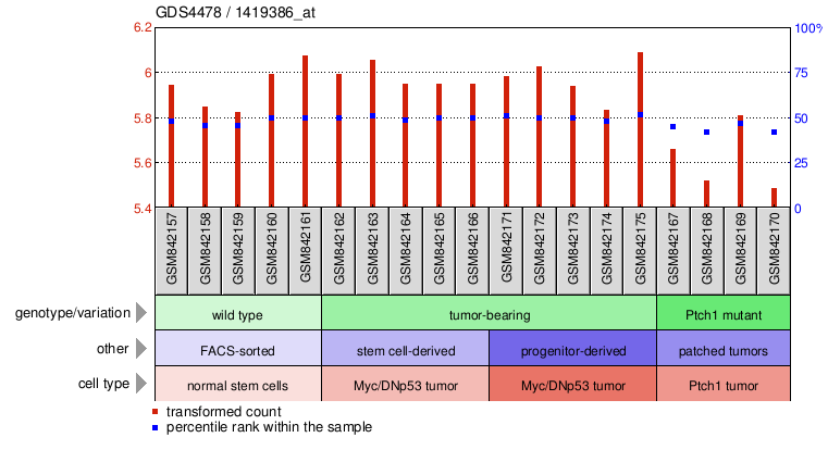 Gene Expression Profile