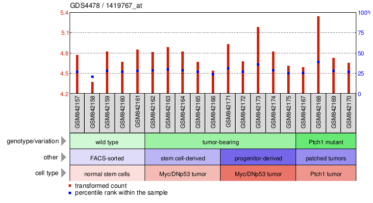 Gene Expression Profile