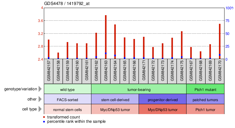 Gene Expression Profile