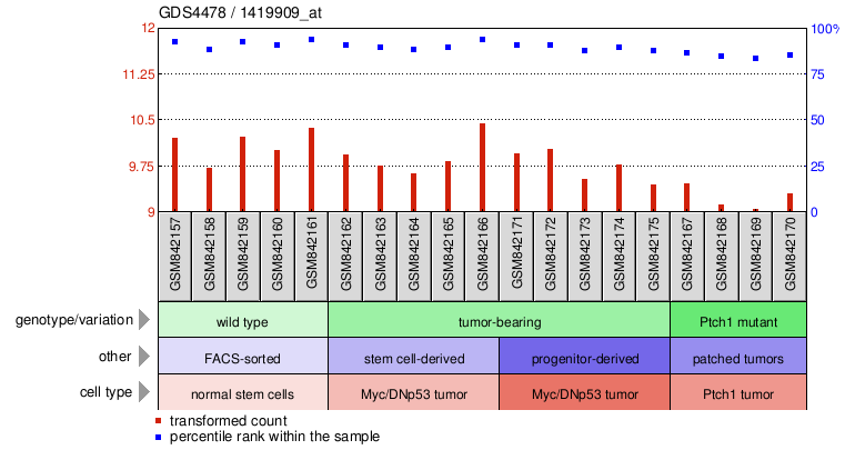 Gene Expression Profile