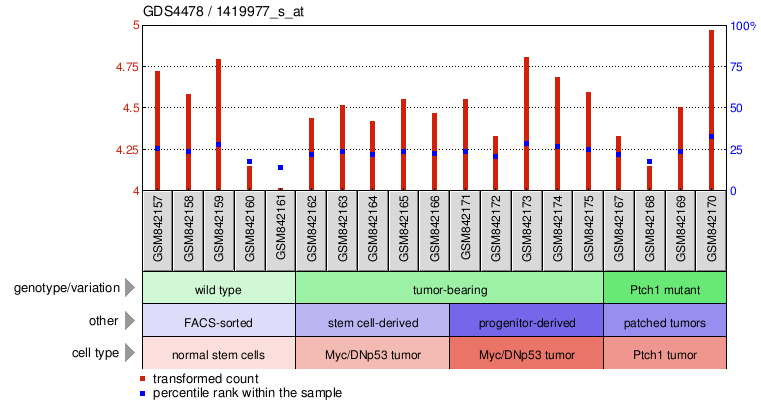 Gene Expression Profile