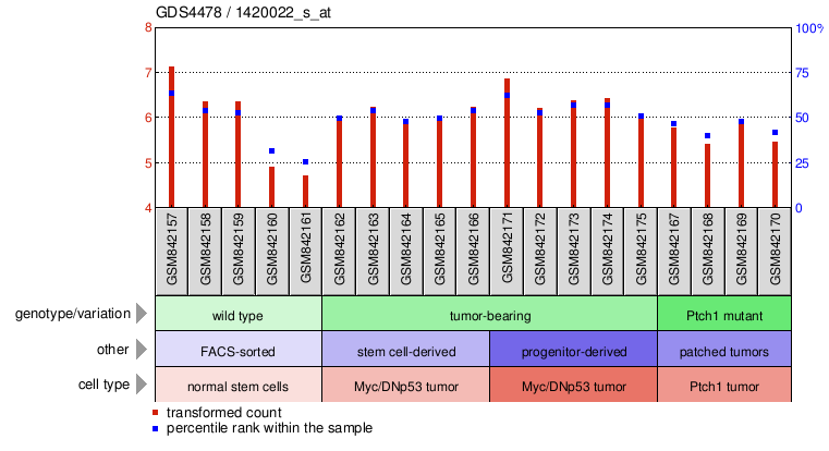 Gene Expression Profile