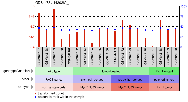 Gene Expression Profile