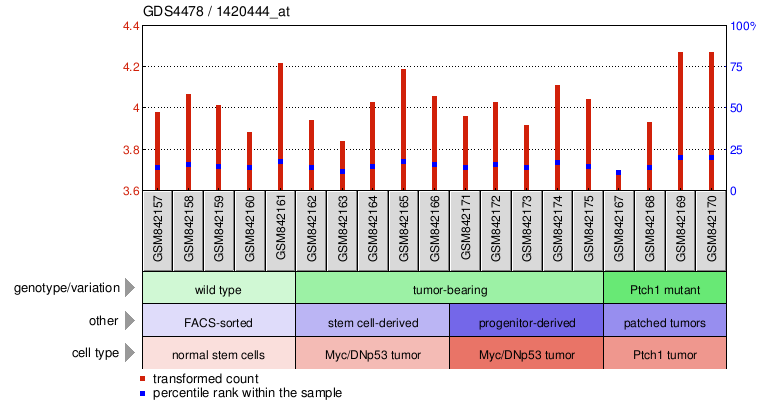 Gene Expression Profile