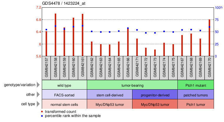 Gene Expression Profile