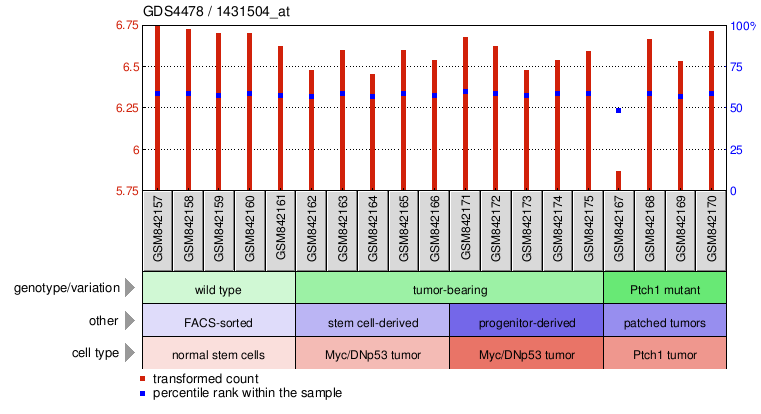 Gene Expression Profile