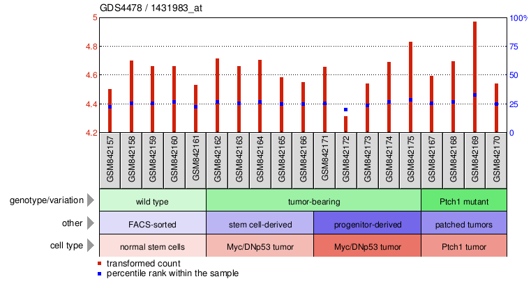 Gene Expression Profile