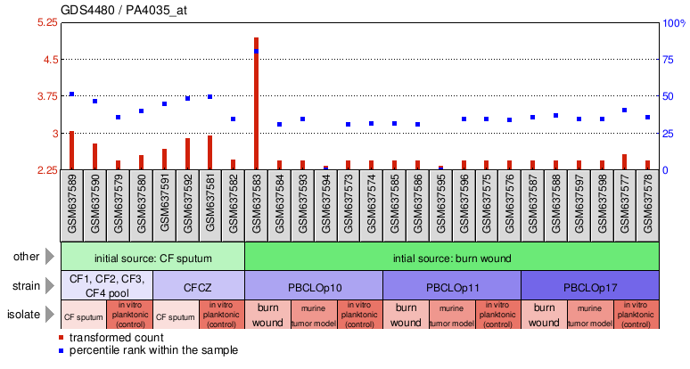 Gene Expression Profile