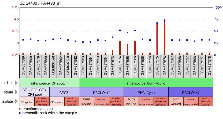 Gene Expression Profile