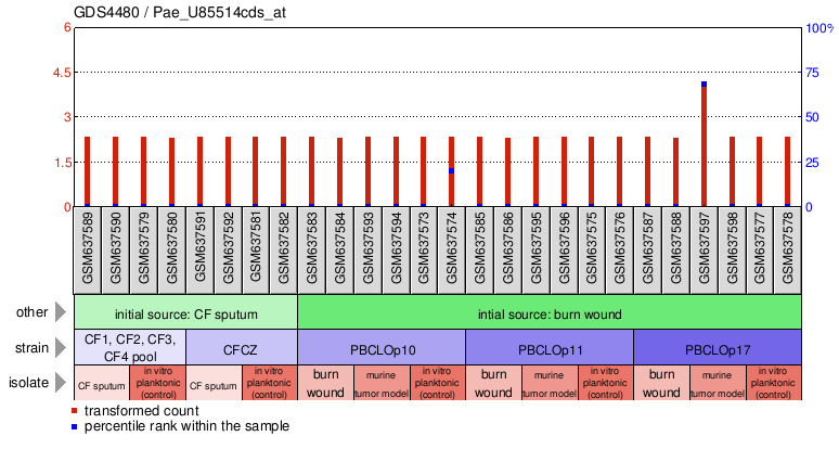 Gene Expression Profile