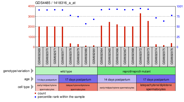 Gene Expression Profile