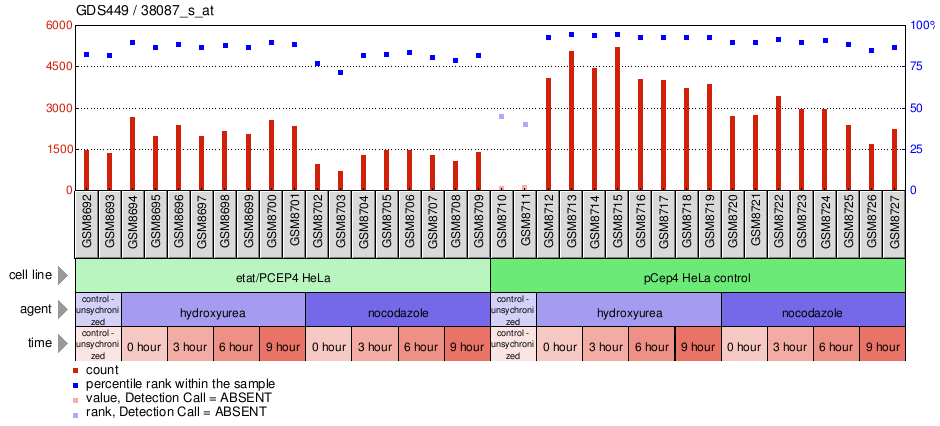 Gene Expression Profile