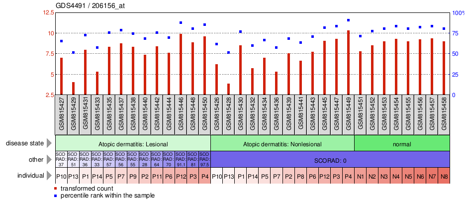 Gene Expression Profile