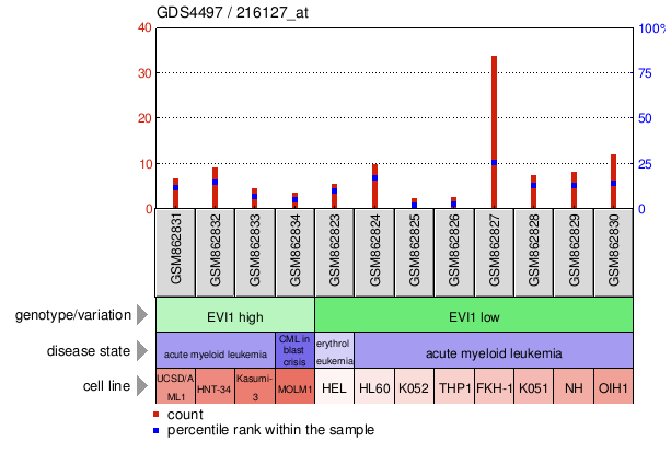 Gene Expression Profile